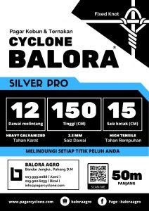 Bintang Baru: Pagar Cyclone Balora